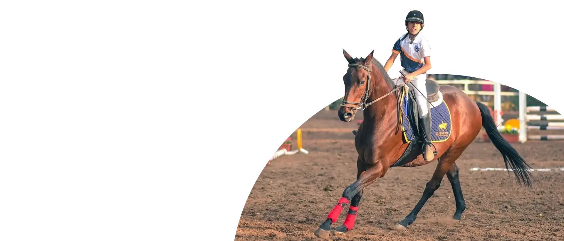 SVS MBA College Banner